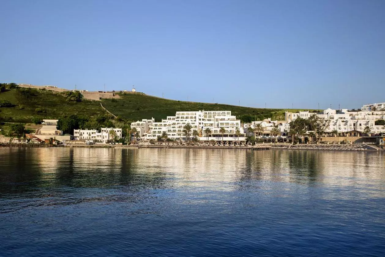 VOYAGE_SHABAVIZ (6).jpg